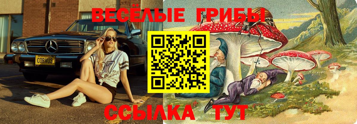 Псилоцибиновые грибы GOLDEN TEACHER  Галлюциногенные грибы мицелий  Вход с VPN  Михайловка 